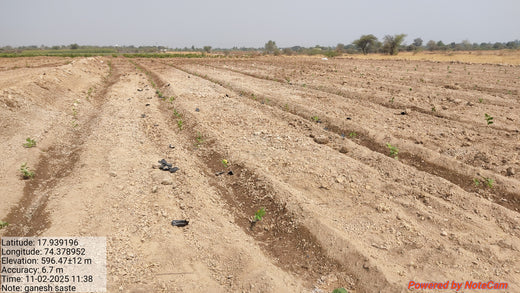 Reforesting with Purpose: We4All’s Tree Plantation for Climate & Livelihood – 1 year