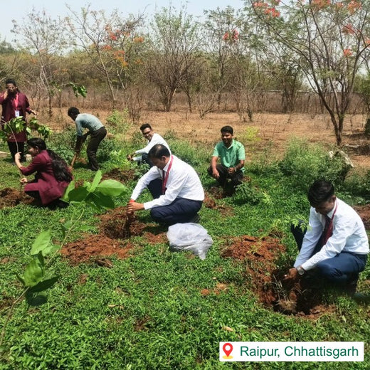 Sky High, Earth Deep: Air India’s Multi-City Tree Plantation for Earth Day – 2 years