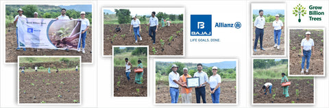 Nurturing Tomorrow: Bajaj Allianz Life Insurance's Agroforestry Initiative for a Greener Future