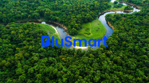 Celebrating Green Heroes: BluSmart's Tree Planting Initiative