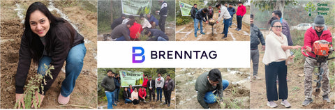 Brenntag's Green Initiative: Partnering with Grow Billion Trees for Employee Engagement in Gurgaon