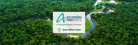 Capitaland - Firstspace : Employee Engagement Drive Through Agroforestry