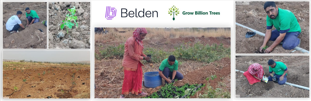 Synergy in Motion: Belden Connect 2026 Sustainability Initiative