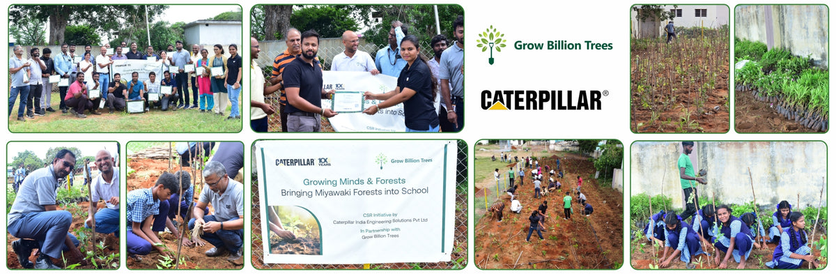 Caterpillar's Legacy: A Thriving Learning forest in Hosur Mathigiri