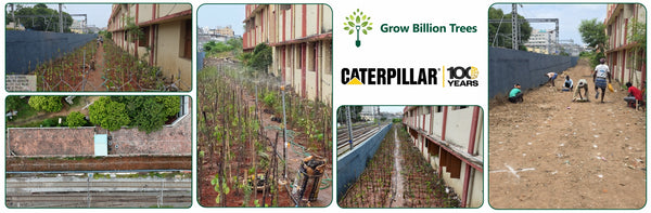 Caterpillar's Legacy: A Learning forest in Chennai Egmore