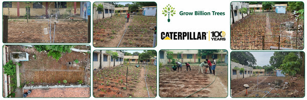 Caterpillar's Legacy: A Learning forest in Chennai Anna Salai