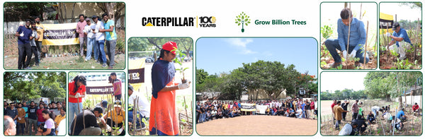 Caterpillar's Legacy: A Learning forest in Chennai Nanganallur
