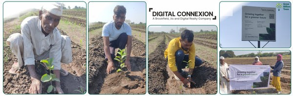 Digital Connexion Goes Green: Cultivating a Sustainable Future