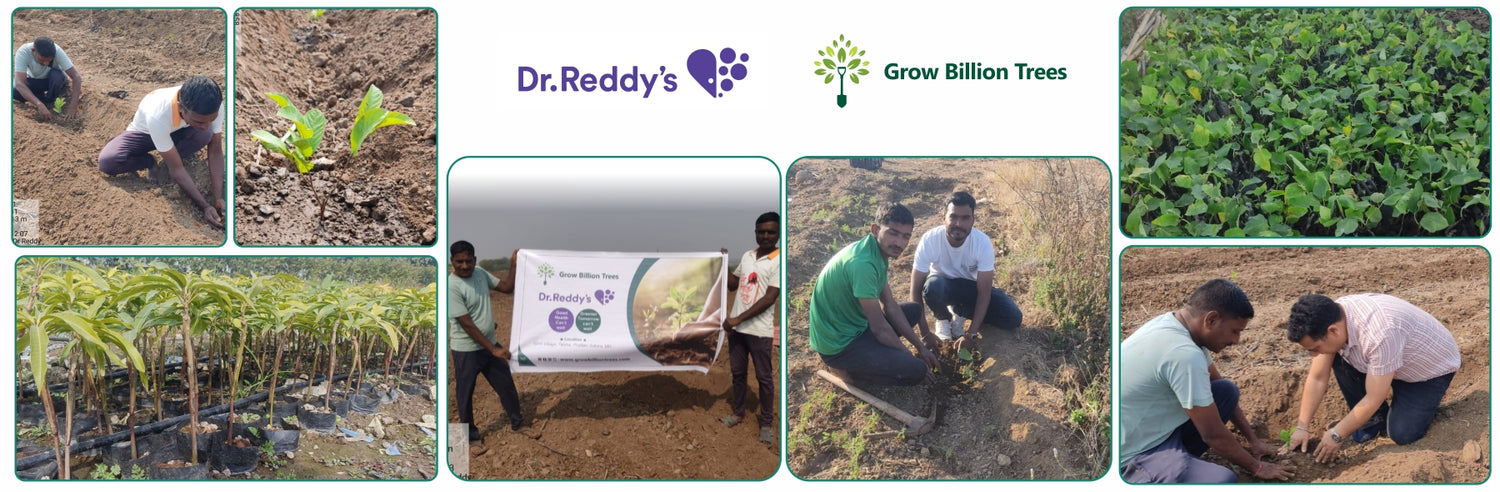 Dr. Reddy’s Empowering Farmers for a Greener Tomorrow – Grow Billion Trees
