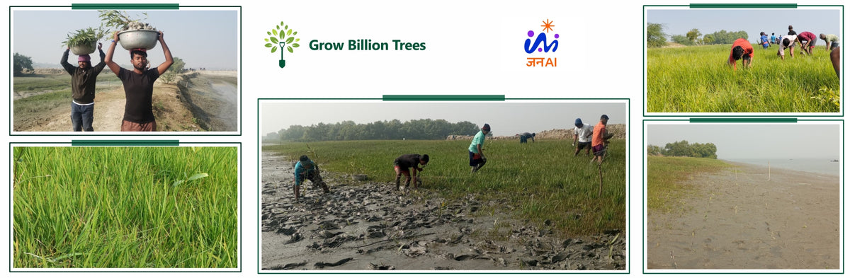 JAN AI’s Wish Tree Initiative at the India–AI Impact Summit 2026