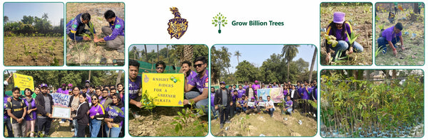 KKR Runs to Roots Initiative: A Run Today, A Tree Tomorrow