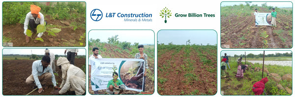 Seeds of Change: L&T Community Forest for Environmental Resilience