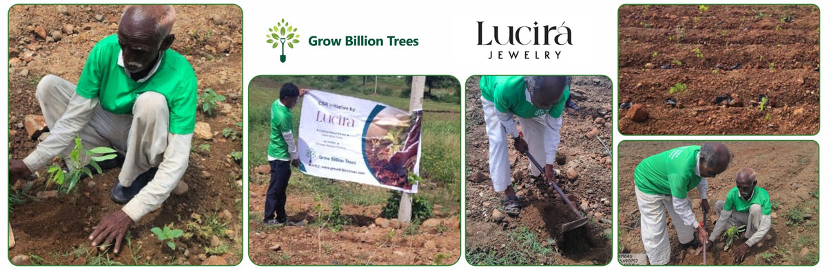 Jewels of Nature: Lucira Jewelry Champions Community Forests