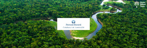 Sustainable Birthdays: Pernod Ricard India’s Green Celebration for Employees