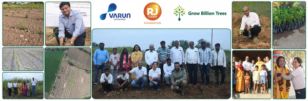 Project Van Dhara Under Varun Beverages Ltd’s CSR Arm RJ Foundation