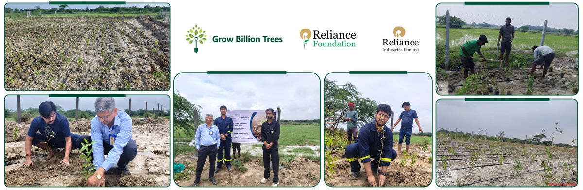 Trees for Tomorrow: A Reliance Foundation Initiative in Kanpur Dehat