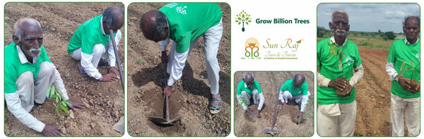 Sunraj Travels: Crafting Holidays and Offsetting Carbon through Agroforest Initiatives