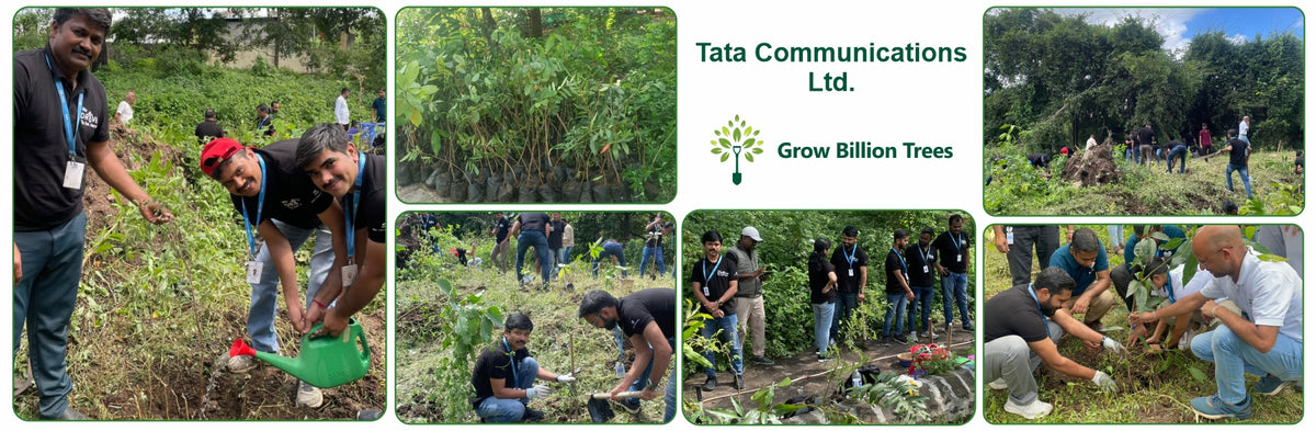 Transforming Cityscapes: Tata Communications’ Tree Plantation Drive