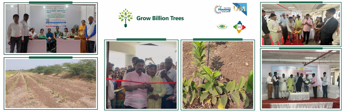 From Media to Meadows: Unitrack Media’s Agroforestry Commitment