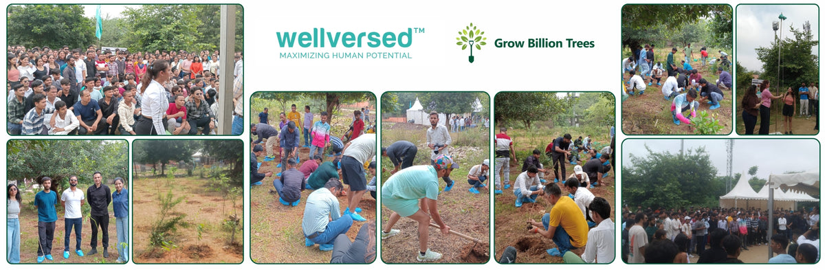 Rooted in Excellence: Wellversed’s Collective Commitment to Growth