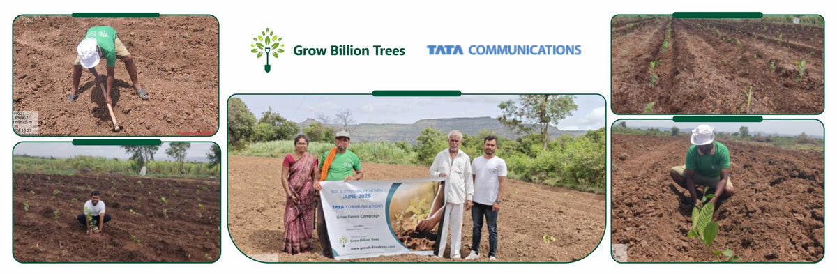 Grow Green Campaign : Tata Communications Green Initiative