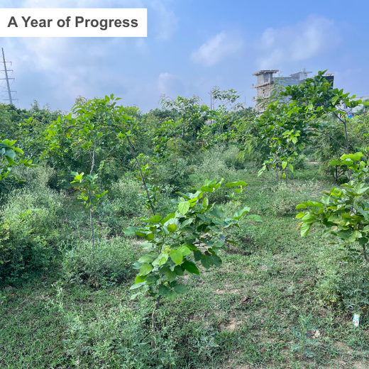 Premier Tech’s Green Footprint in Greater Noida – 1 year