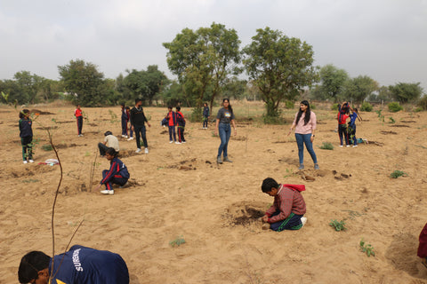 Bhairana Agroforestry Project - Jaipur Rajasthan