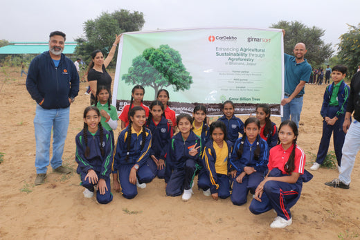Tree Plantation Drive On Earth Day: Your Green Action Guide