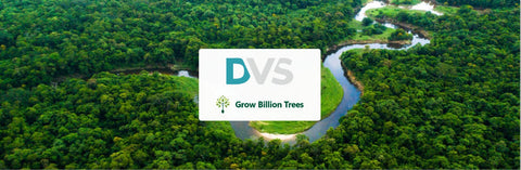 Celebrating Birthdays the Green Way: DVS Research and Capital Services Pvt Ltd.'s Unique Initiative with Grow Billion Trees