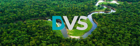 Celebrating Birthdays the Green Way: DVS Research and Capital Services Pvt Ltd.'s Unique Initiative with Grow Billion Trees