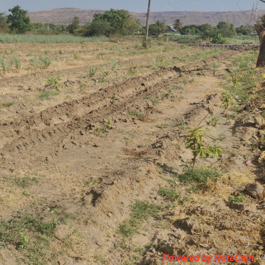 MITRA: Uniting Stakeholders for Scalable Climate Solutions – 1 year