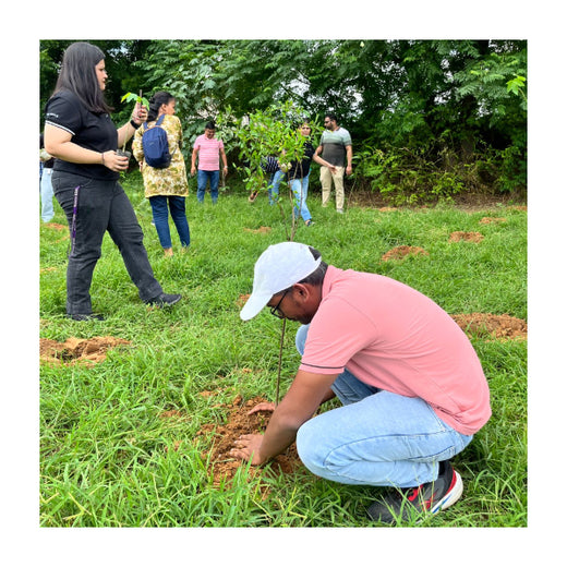 Empowering Green Growth: NCR Voyix's Employee-Driven Urban Forest – Planting