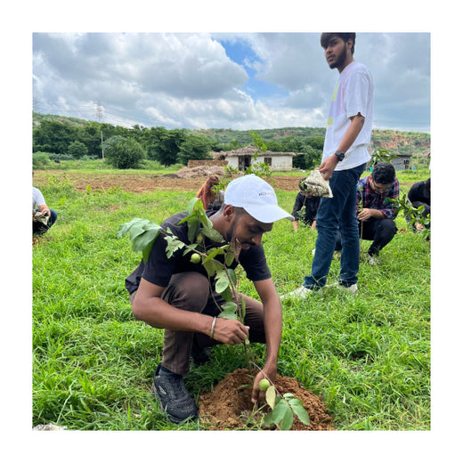 Empowering Green Growth: NCR Voyix's Employee-Driven Urban Forest – Planting