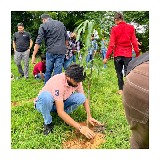 Empowering Green Growth: NCR Voyix's Employee-Driven Urban Forest – Planting
