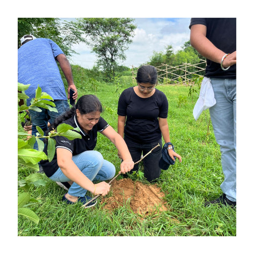 Empowering Green Growth: NCR Voyix's Employee-Driven Urban Forest – Planting