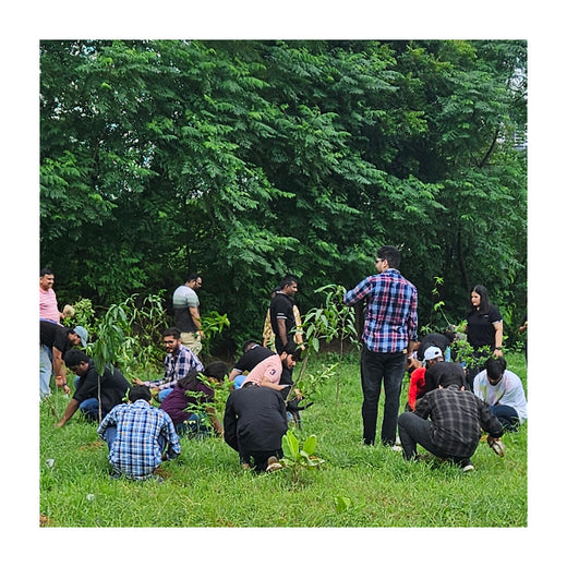 Empowering Green Growth: NCR Voyix's Employee-Driven Urban Forest – Planting