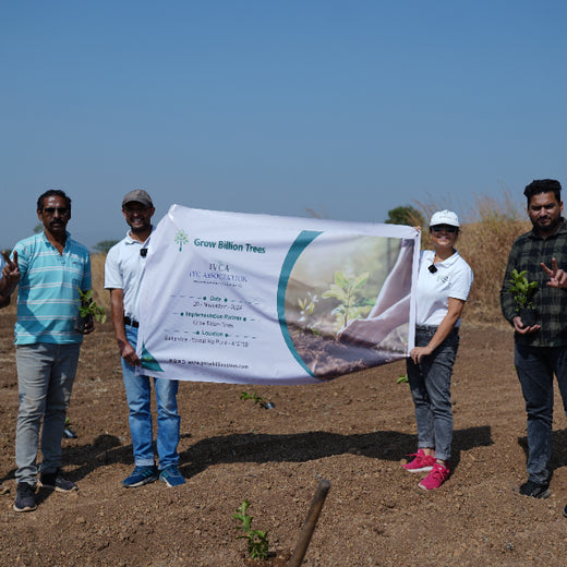 Reforesting with Purpose:  IVCA’s Agroforestry Tree Plantation Program – Planting