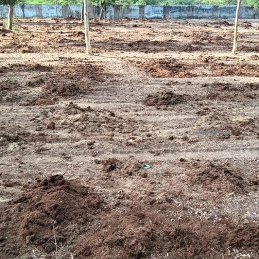 Group Landmark's ROAR (Reduce to Zero, Add Responsibility) Initiative: Miyawaki Forests – Planting