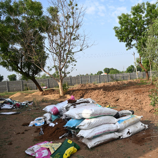 Group Landmark's ROAR (Reduce to Zero, Add Responsibility) Initiative: Miyawaki Forests – Planting
