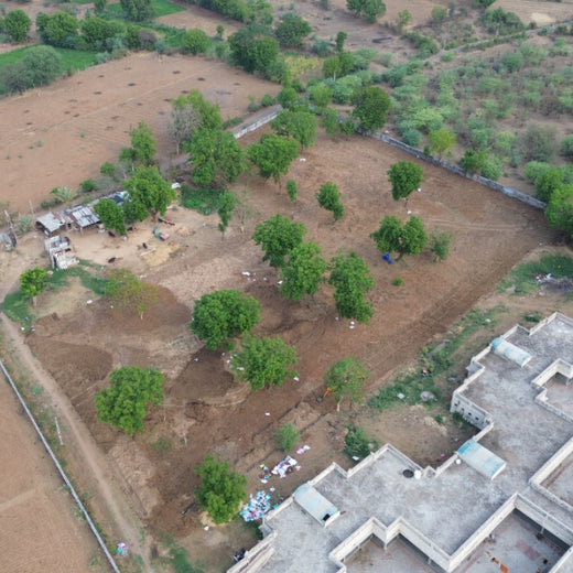 Group Landmark's ROAR (Reduce to Zero, Add Responsibility) Initiative: Miyawaki Forests – Planting