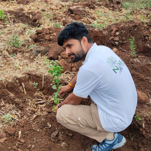 Branching Out: Digital Achievers Hub's Green Initiative for Subscribers – Planting