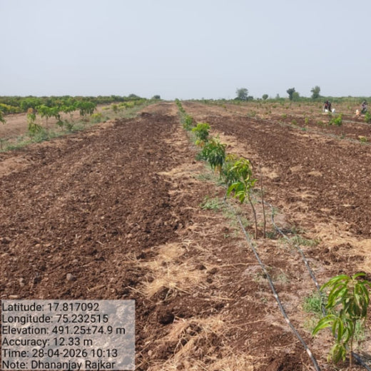 BAGIC’s ESG Initiative: Tree Plantation through Agroforestry – 2 years