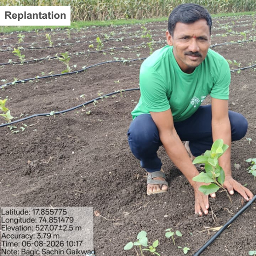 BAGIC’s ESG Initiative: Tree Plantation through Agroforestry – 2 years