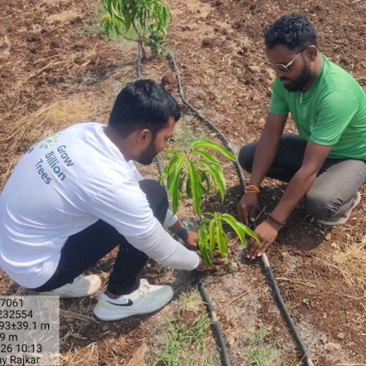 BAGIC’s ESG Initiative: Tree Plantation through Agroforestry – 2 years