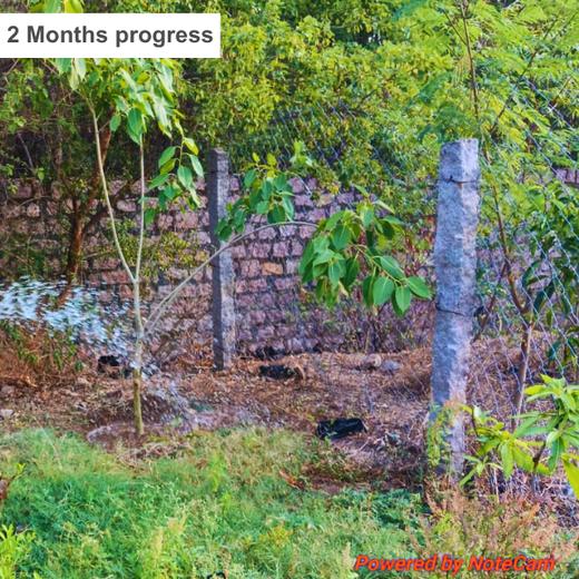 Celebrating Vedh’s 2nd Year by Giving Back to Nature – 2 years
