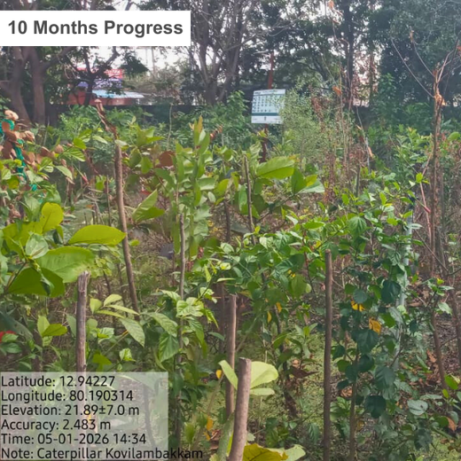 Caterpillar's Legacy: A Learning forest in Kovilambakkam, Chennai – 2 years