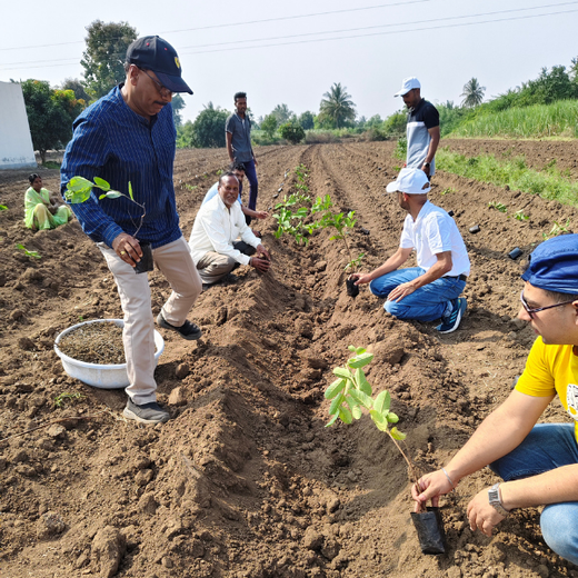 Planting Impact at CPHI India 2024: Dr. Reddy’s Agroforestry Journey – Planting