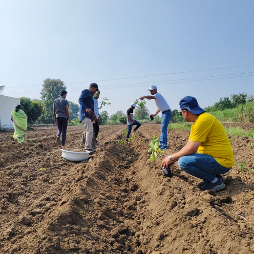 Planting Impact at CPHI India 2024: Dr. Reddy’s Agroforestry Journey – Planting