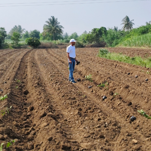 Planting Impact at CPHI India 2024: Dr. Reddy’s Agroforestry Journey – Planting
