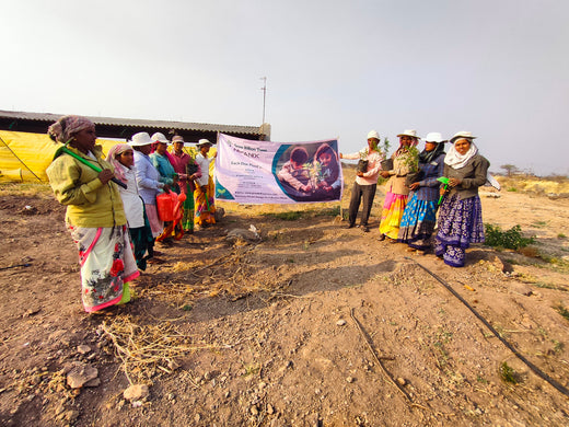 Each Tree, a Step Forward: Nutanix's Agroforest CSR Initiative – Planting